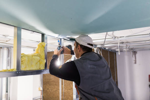 Best Insulation Maintenance and Repair in Nipomo, CA